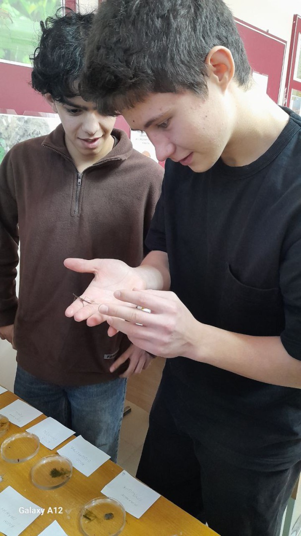 Первая профильная смена «Генетика и селекция рыб»